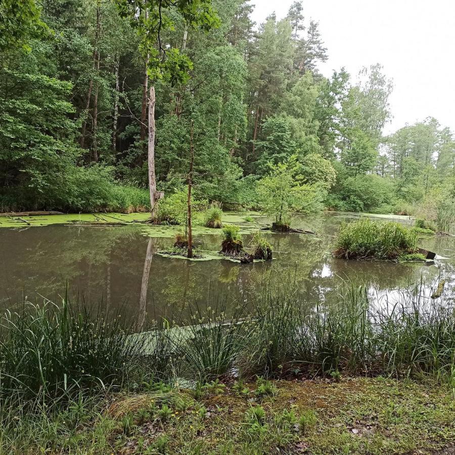 Apartmany Ziakova - Ubytovani Nove Hrady 111 Buitenkant foto