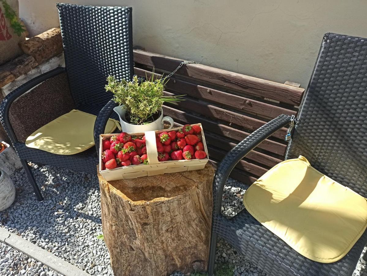Apartmany Ziakova - Ubytovani Nove Hrady 111 Buitenkant foto