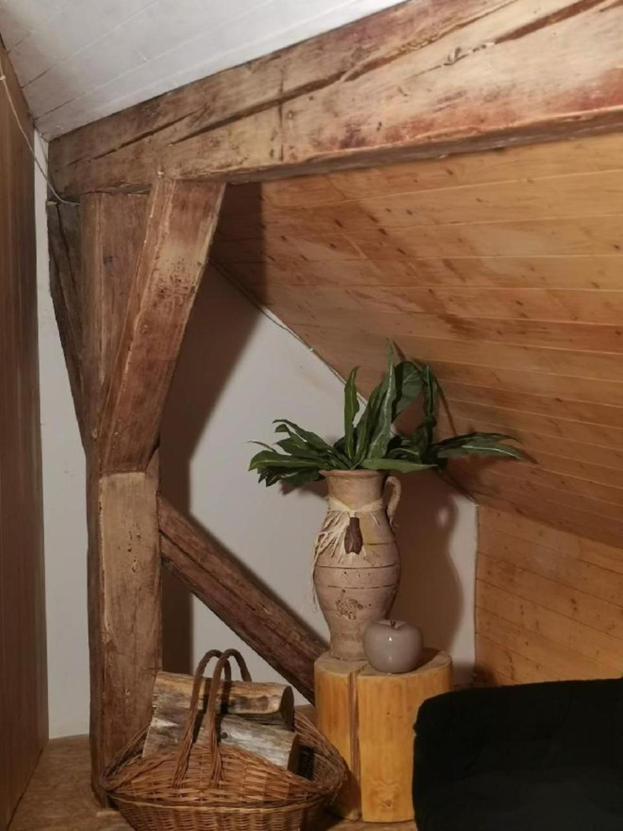 Apartmany Ziakova - Ubytovani Nove Hrady 111 Buitenkant foto