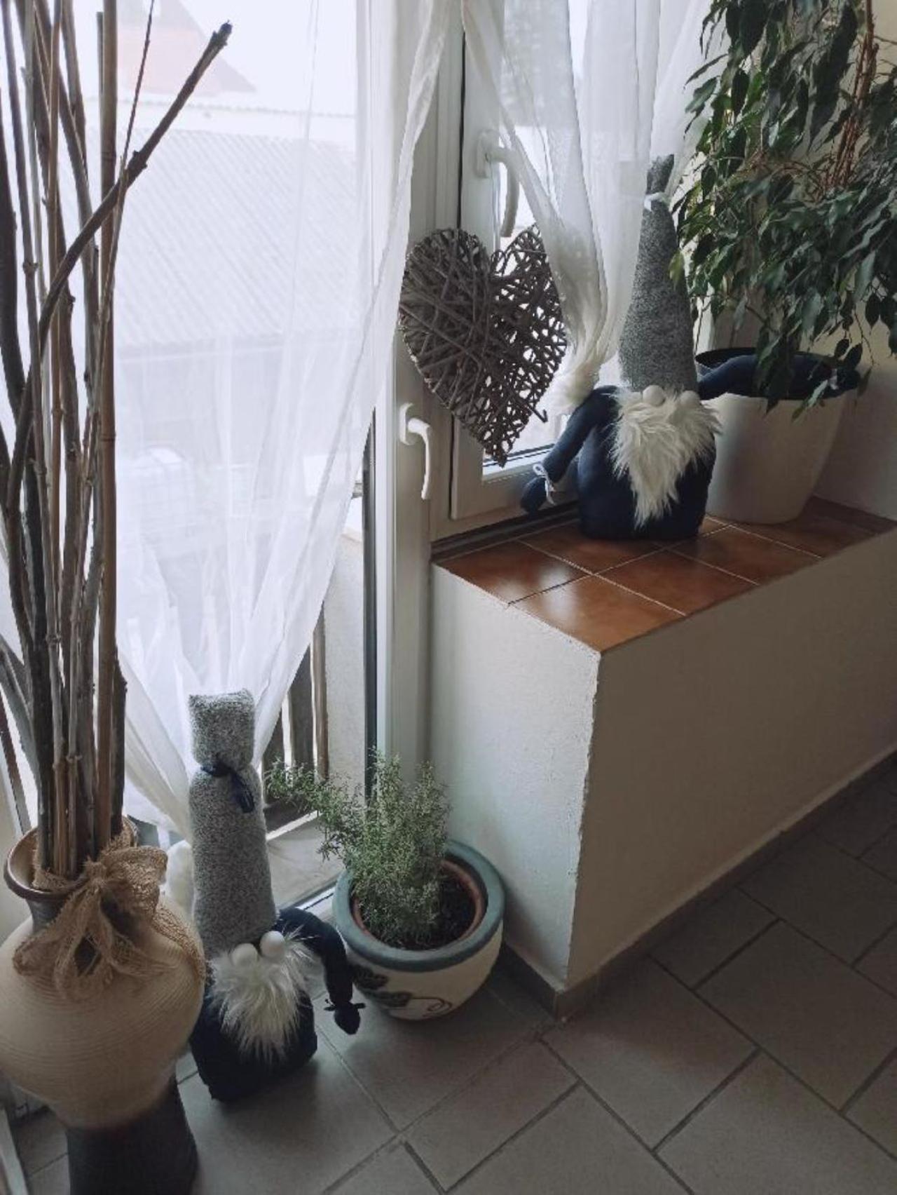 Apartmany Ziakova - Ubytovani Nove Hrady 111 Buitenkant foto